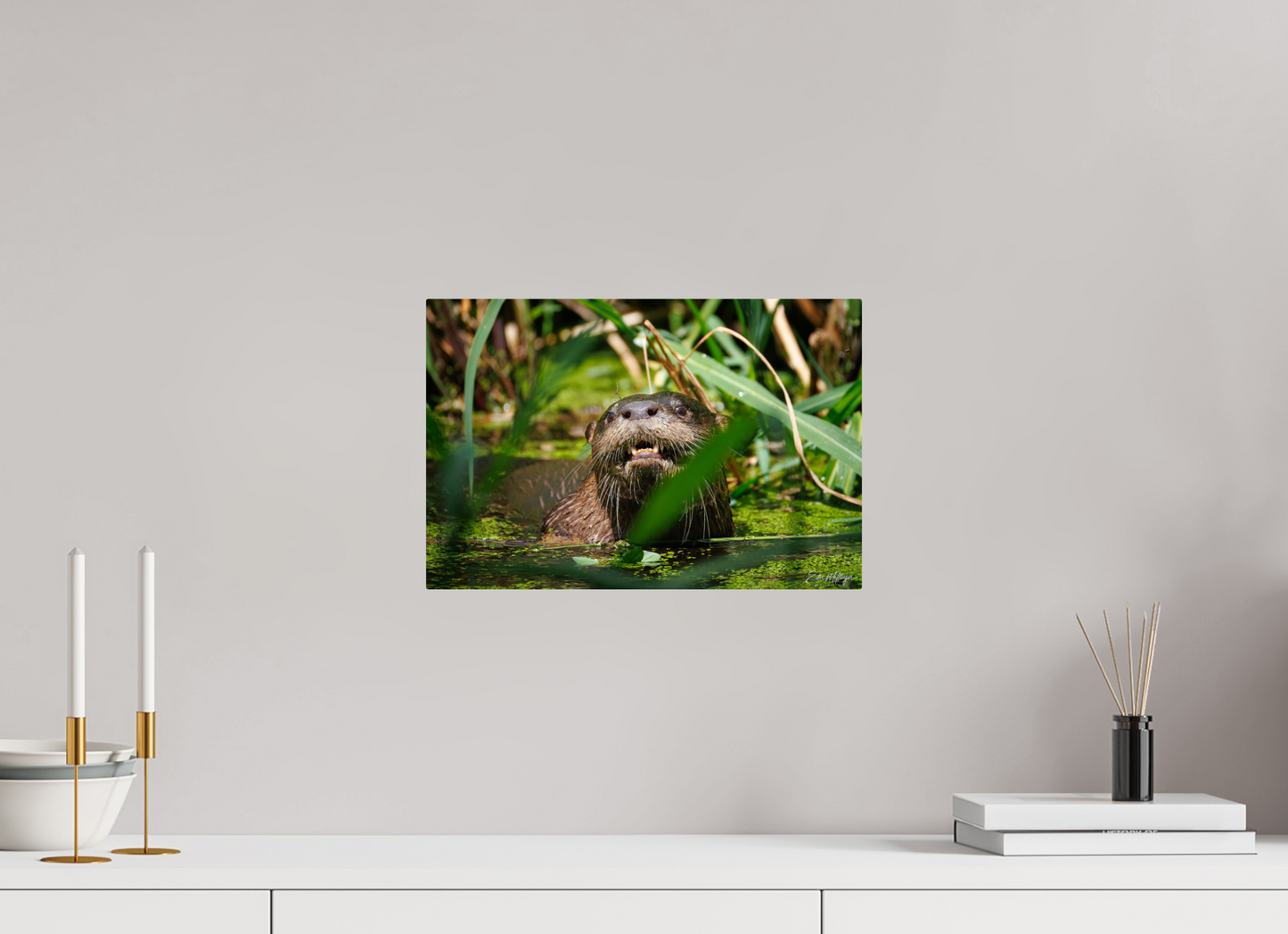 15 x 10″, Metal "Swamp Watcher" - American river otter