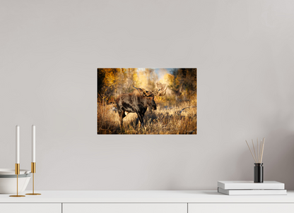 15 x 10″, Acrylic "Monarch of Gros Ventre" - Bull Moose