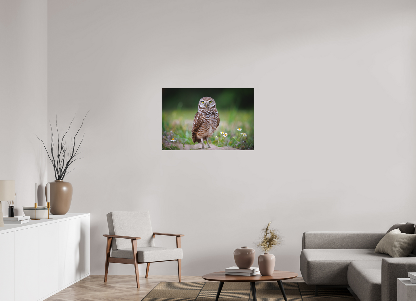Burrowing owl stare down