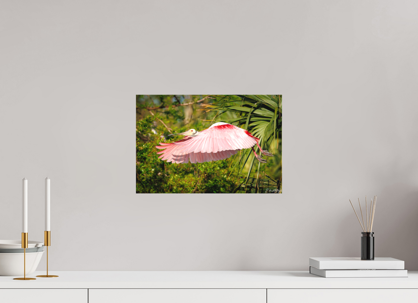 15 x 10″, Canvas "Pink Passage" - Roseate Spoonbill