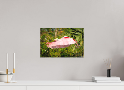 15 x 10″, Canvas "Pink Passage" - Roseate Spoonbill