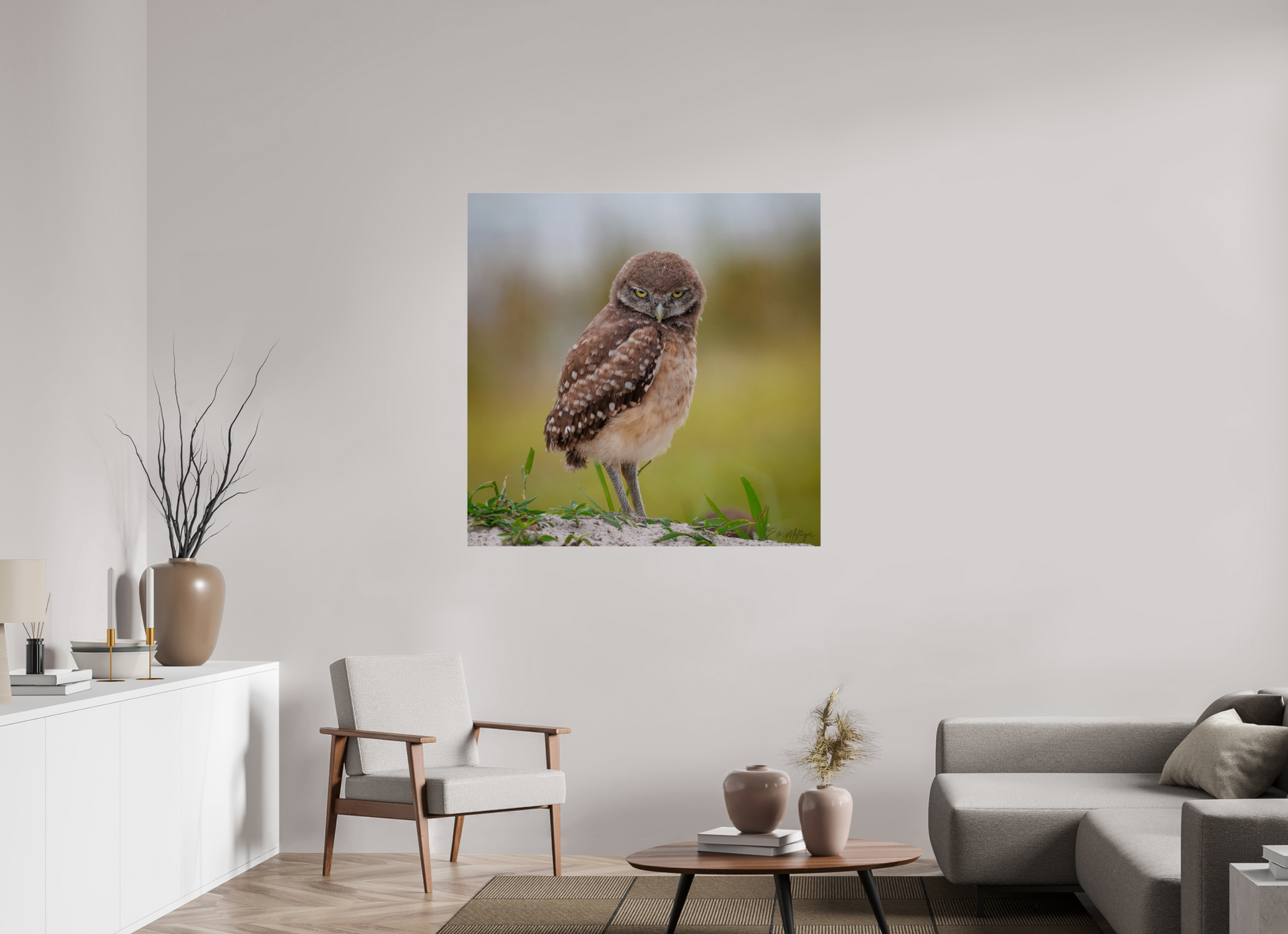 45 x 45″, Acrylic "The Stare Down" - Burrowing owlet