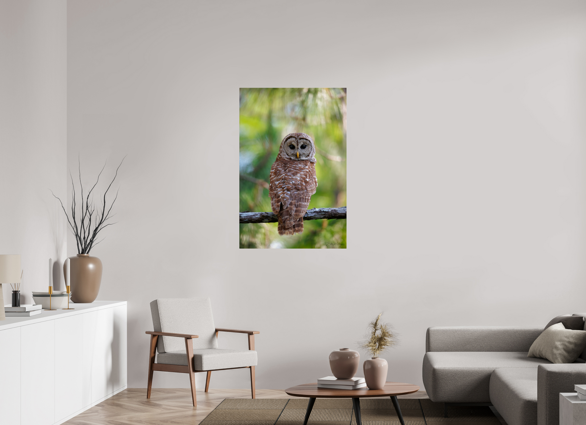 30 x 45″, Acrylic "..." - Barred Owl