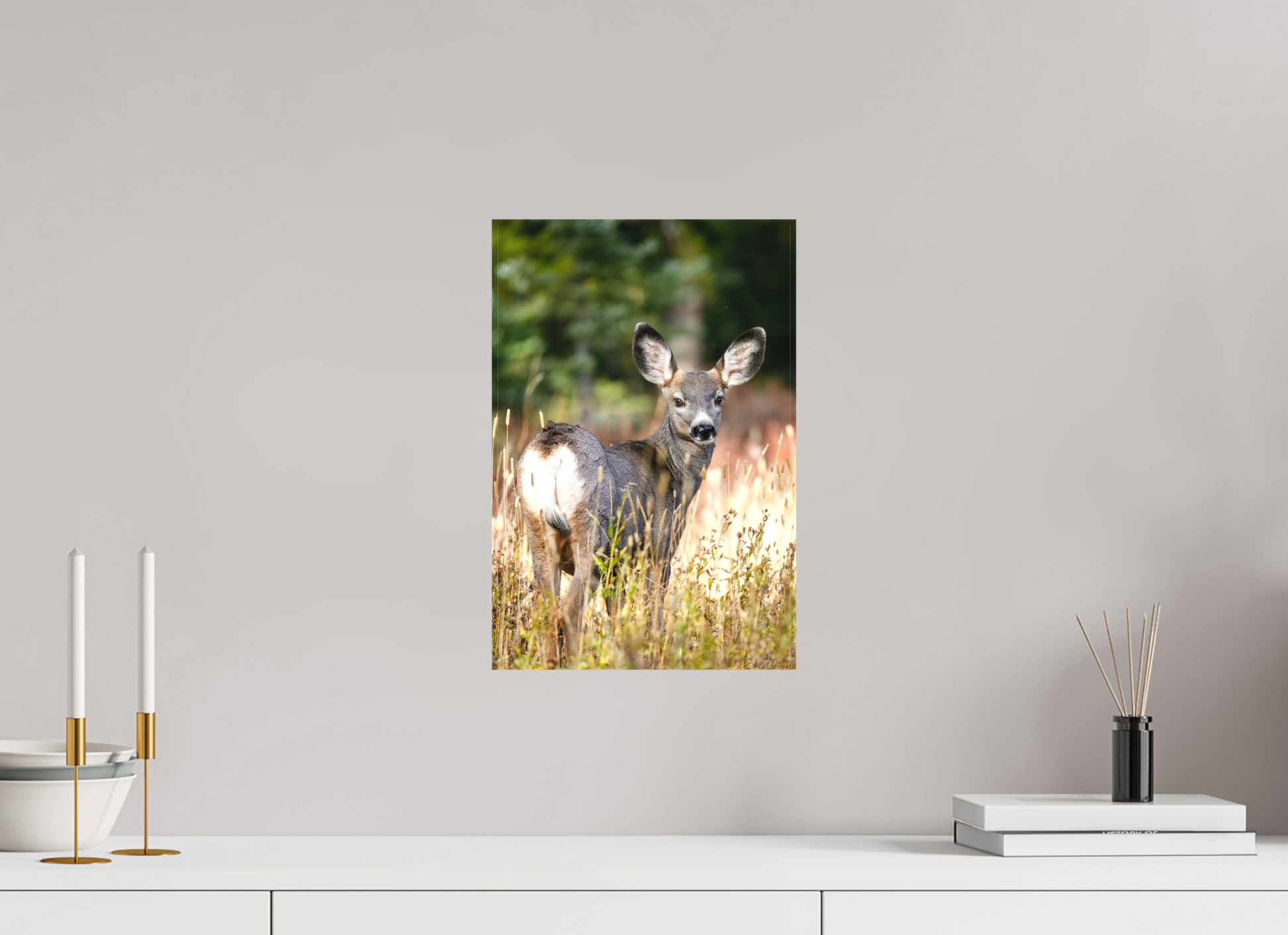 10 x 15″, Canvas "The Look Back" - Mule Deer