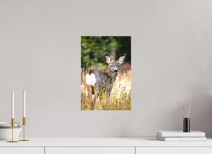 10 x 15″, Canvas "The Look Back" - Mule Deer
