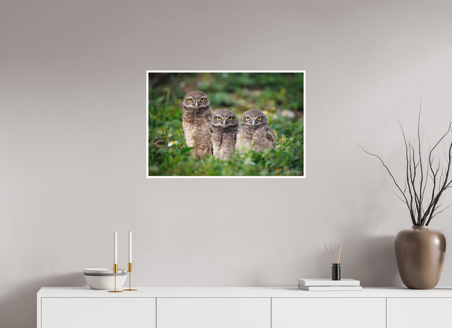 30 x 20″, Fine art print Three Little Burrowing Owls - Burrowing Owls