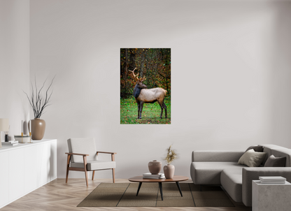 36 x 54″, Metal "Guardian of the Meadow" - Elk