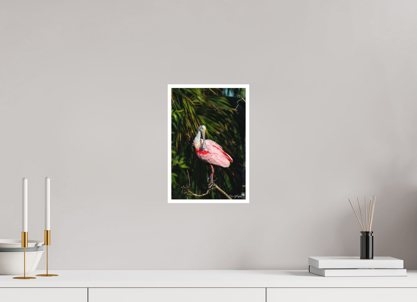 Preening spoonbill