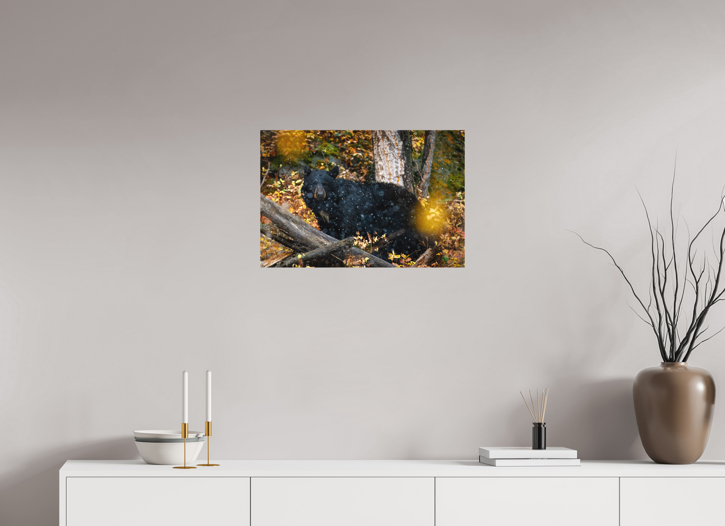 24 x 16″, Canvas "Between Seasons" - Black Bear