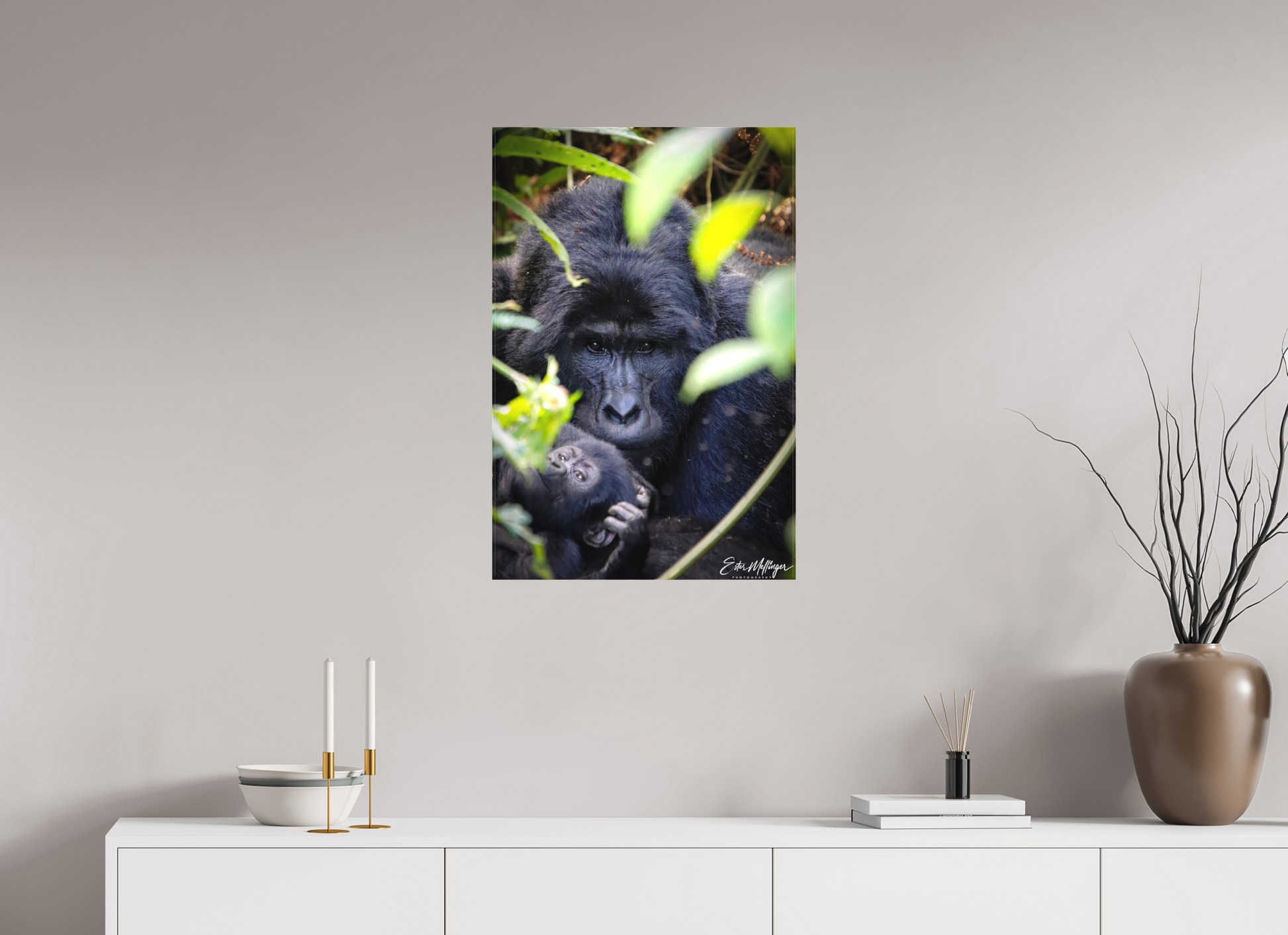 20 x 30″, Canvas "The Watchful One' - Silverback and his young