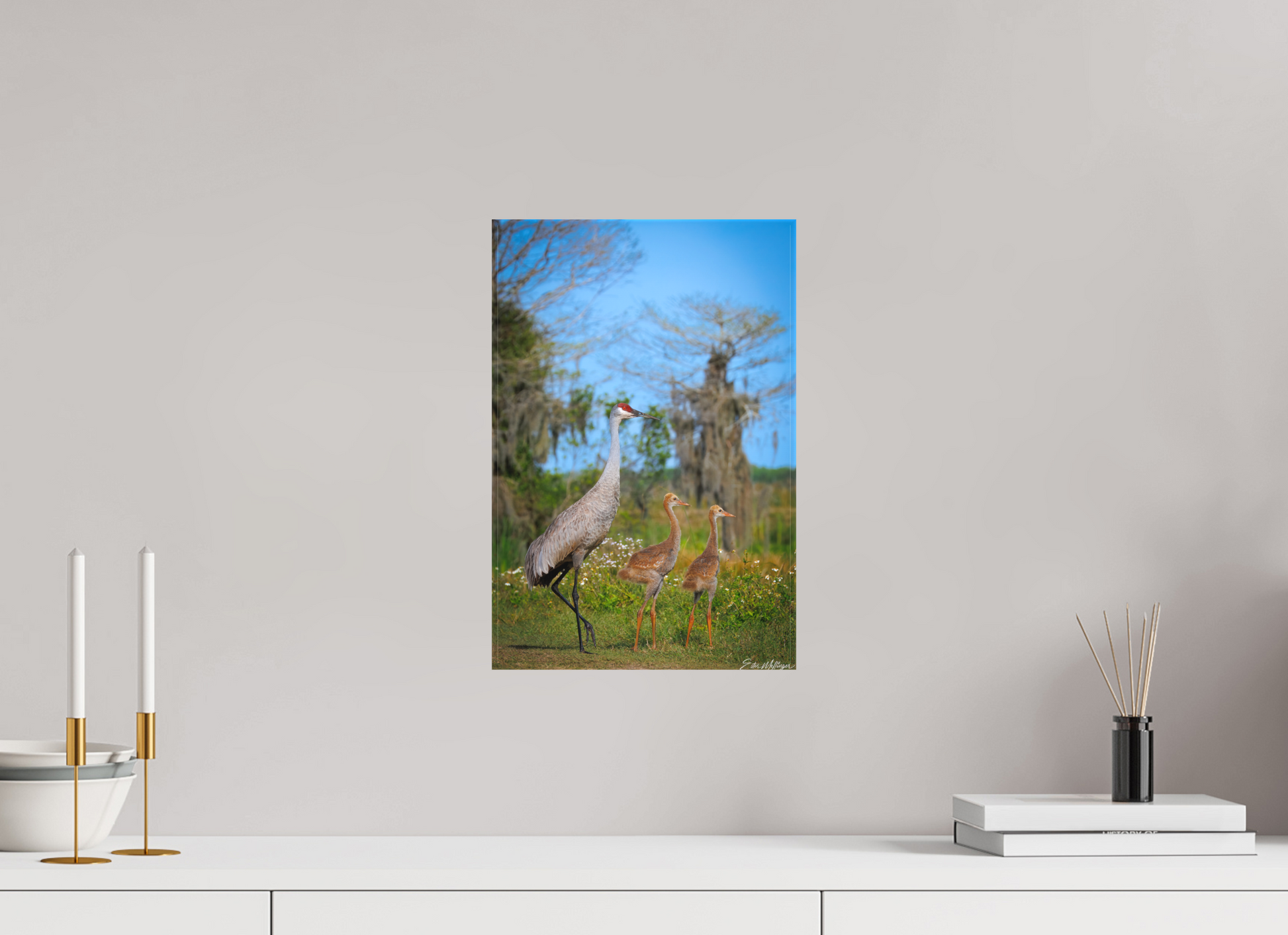 10 x 15″, Canvas "Wetland Wanderers" - Sandhill Cranes