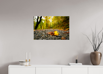 30 x 20″, Metal "The Long Way Home" - Cades Cove
