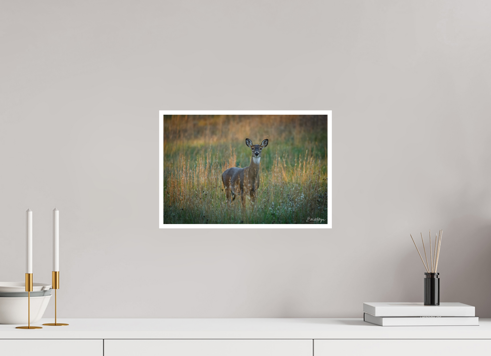 15 x 10″, Fine art print "Grace in the Meadow" - White-tailed Doe