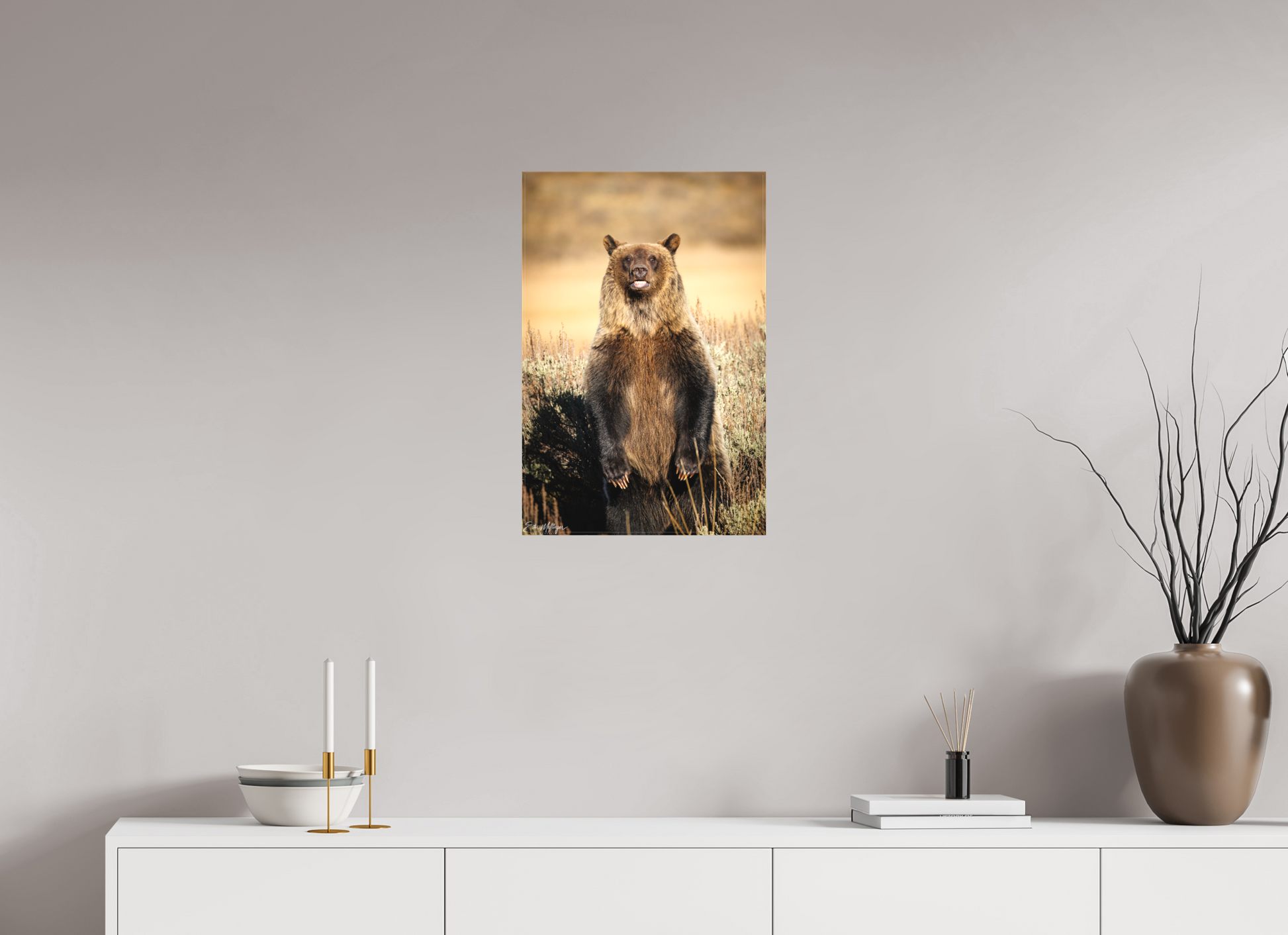 16 x 24″, Canvas "Grin & Grizzly" - Grizzly Bear