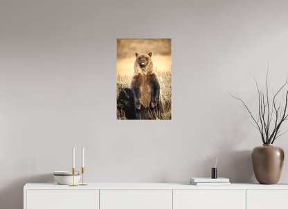 16 x 24″, Canvas "Grin & Grizzly" - Grizzly Bear