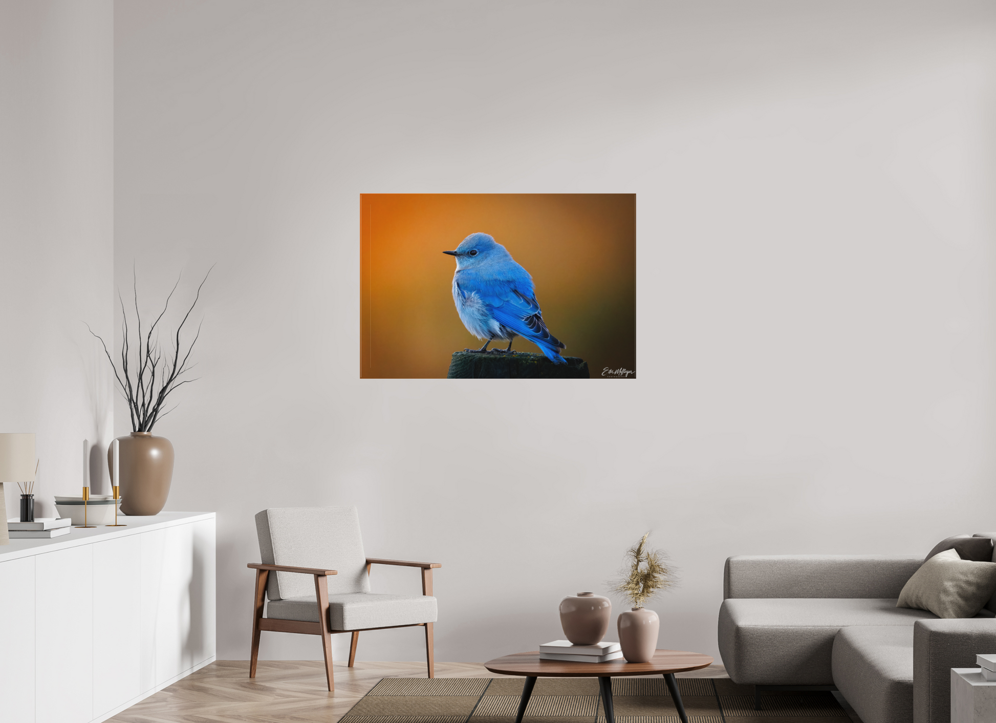 45 x 30″, Canvas "Sunrise Blue" - Mountain Bluebird