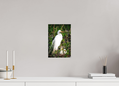Great egret with chicks