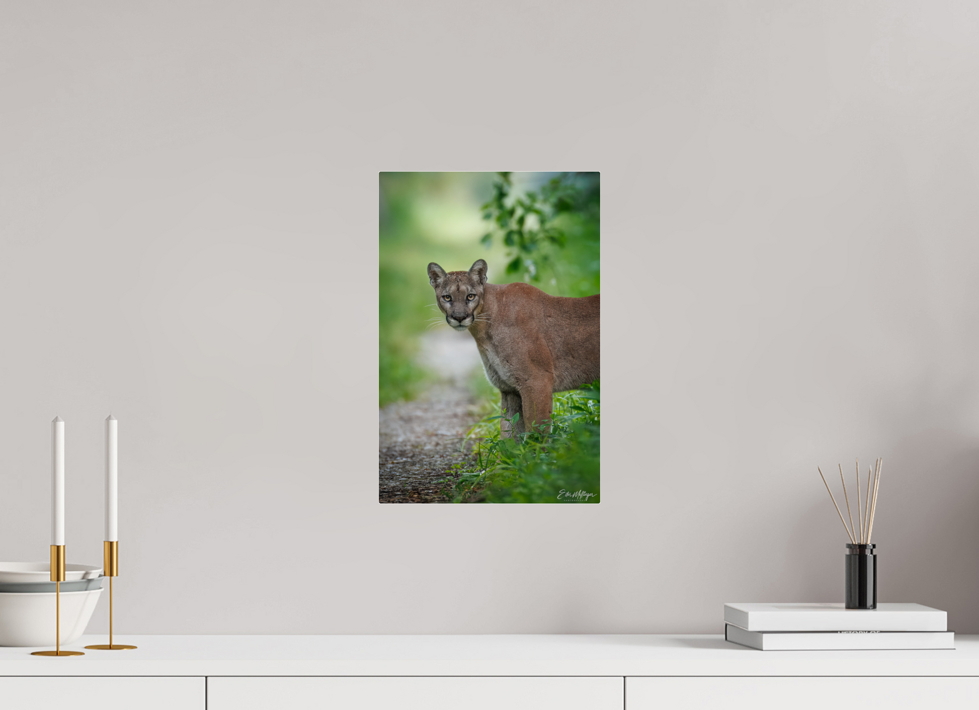 10 x 15″, Acrylic "Ghost of the Green Forest" - Florida Panther, vertical