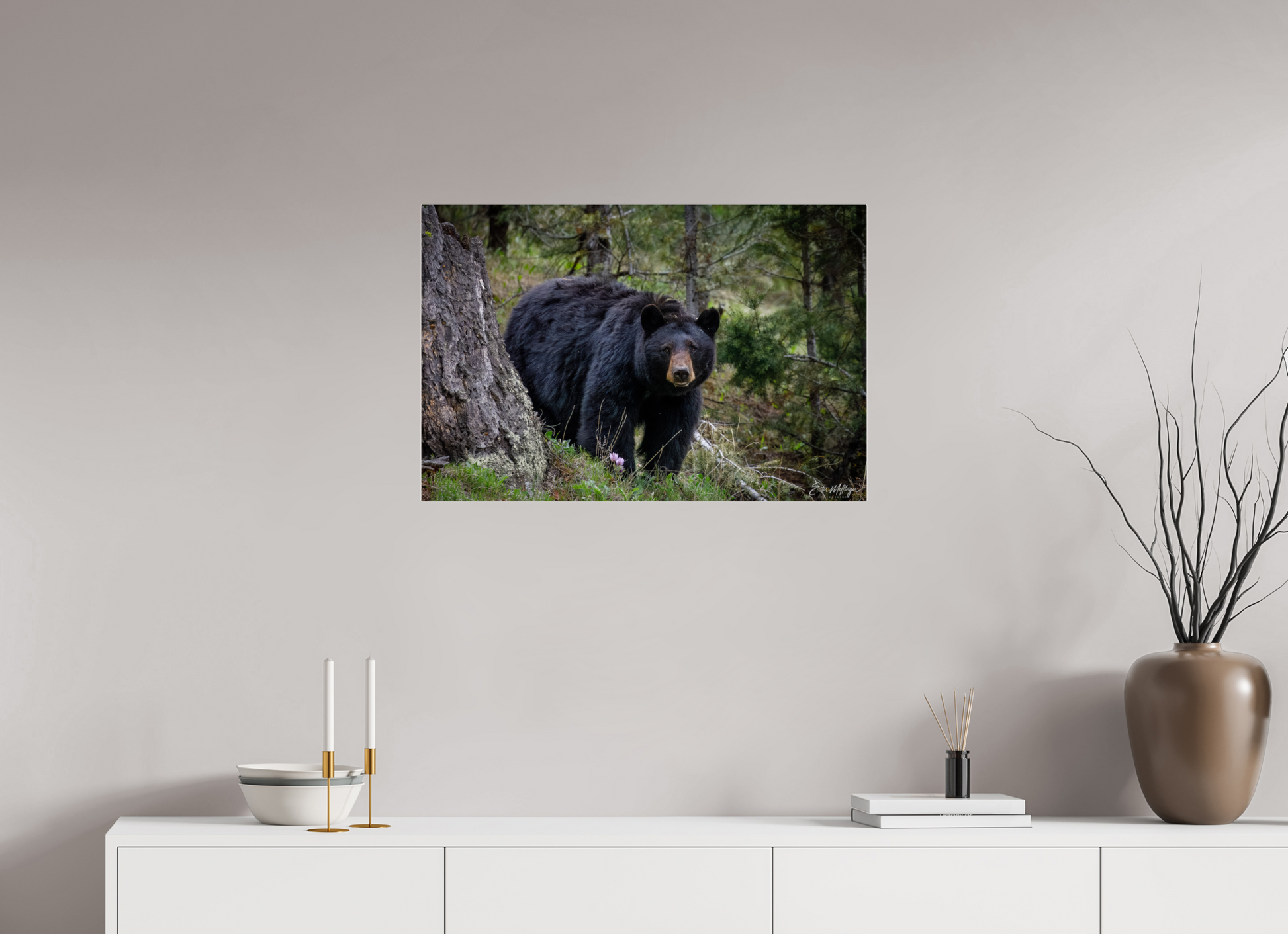 30 x 20″, Acrylic "Silent Gaze" - Black Bear