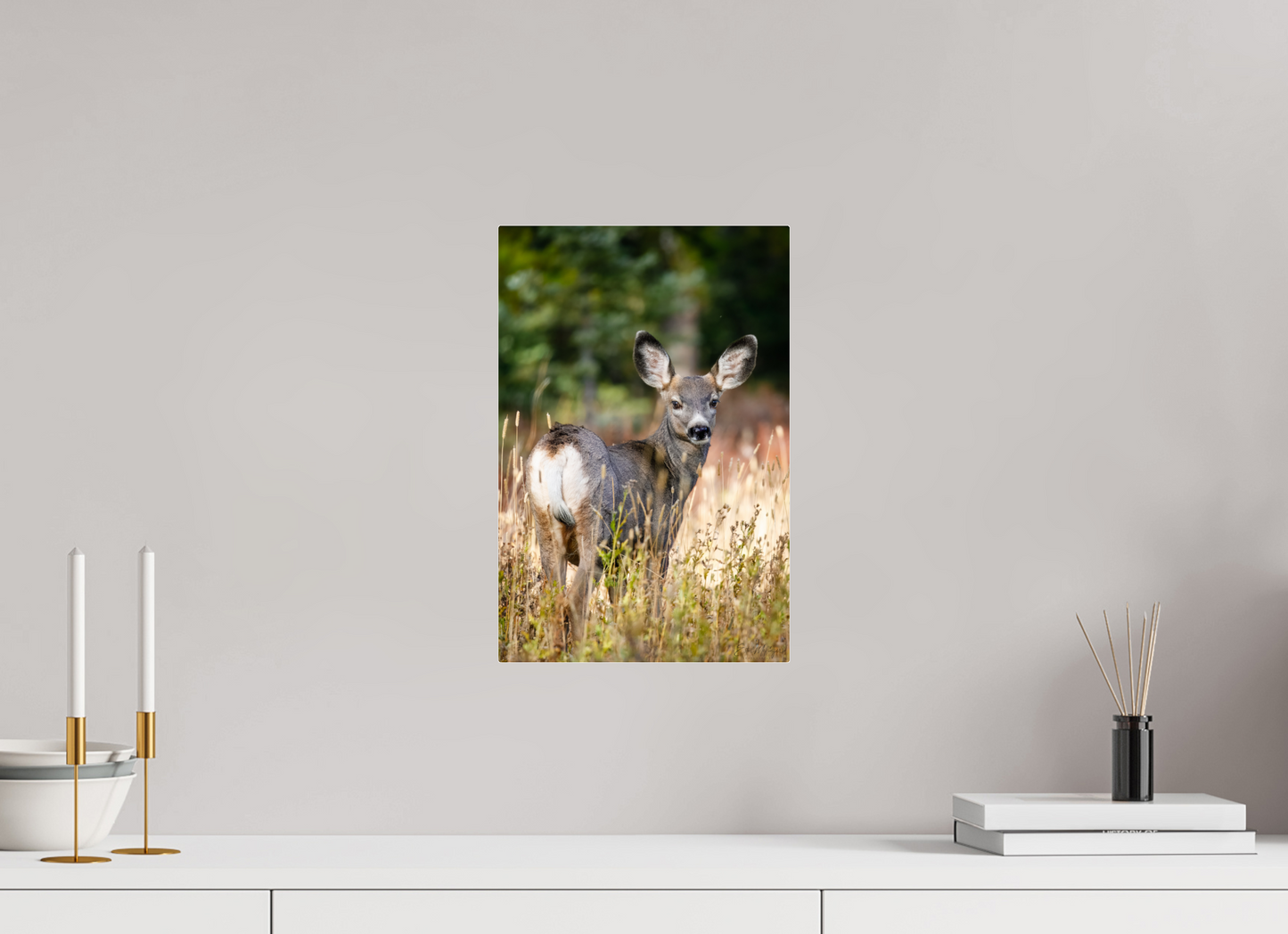 10 x 15″, Acrylic "The Look Back" - Mule Deer