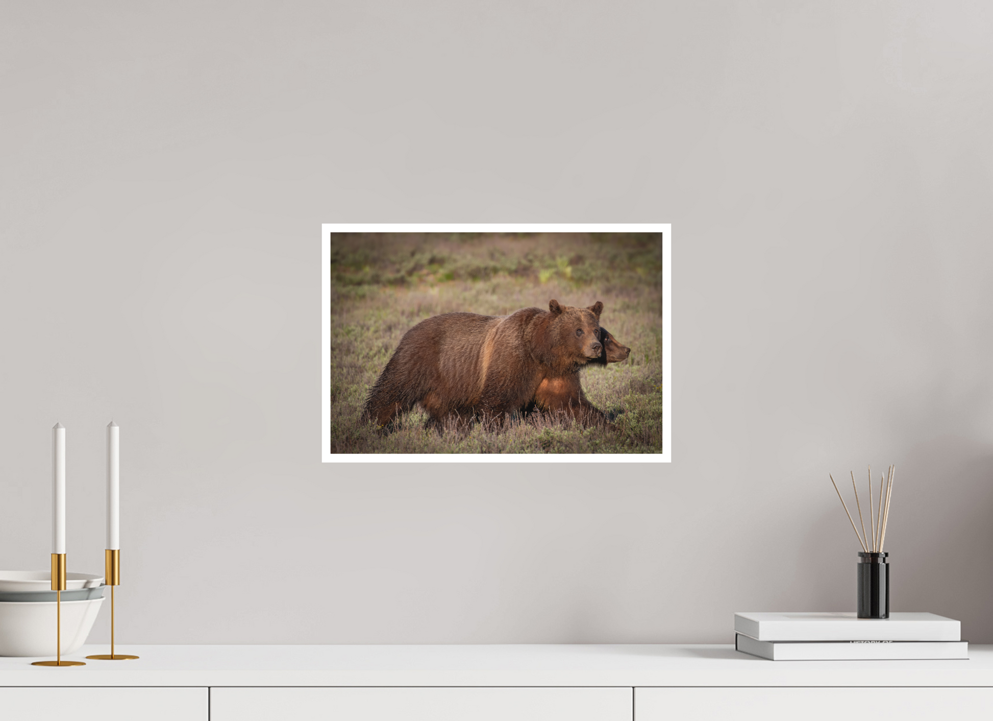 15 x 10″, Fine art print "Grizzly 399 on the Move"