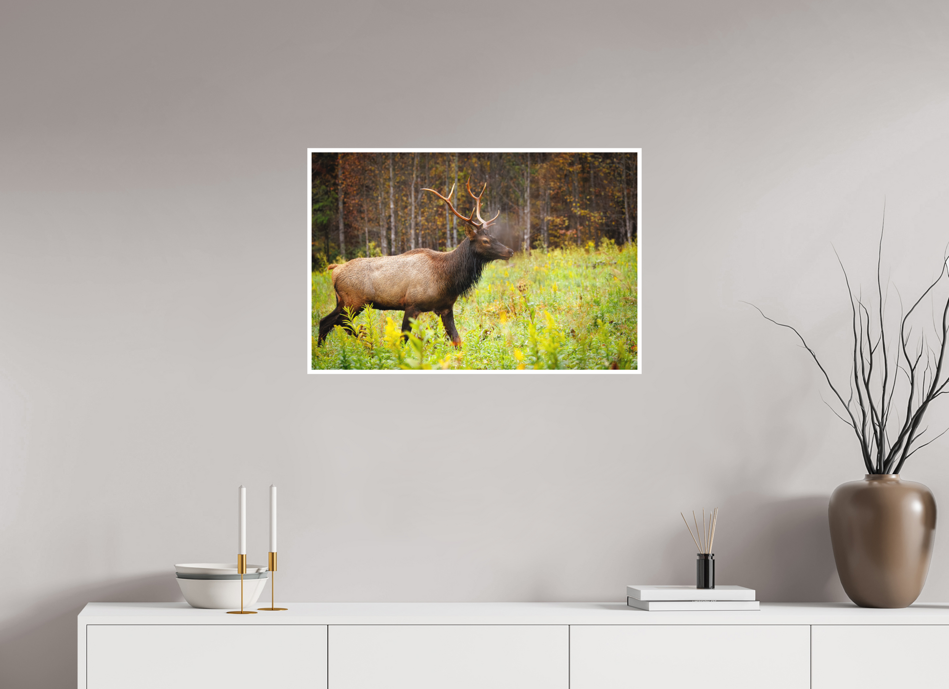 30 x 20″, Fine art print "Call of the Wild" - Elk