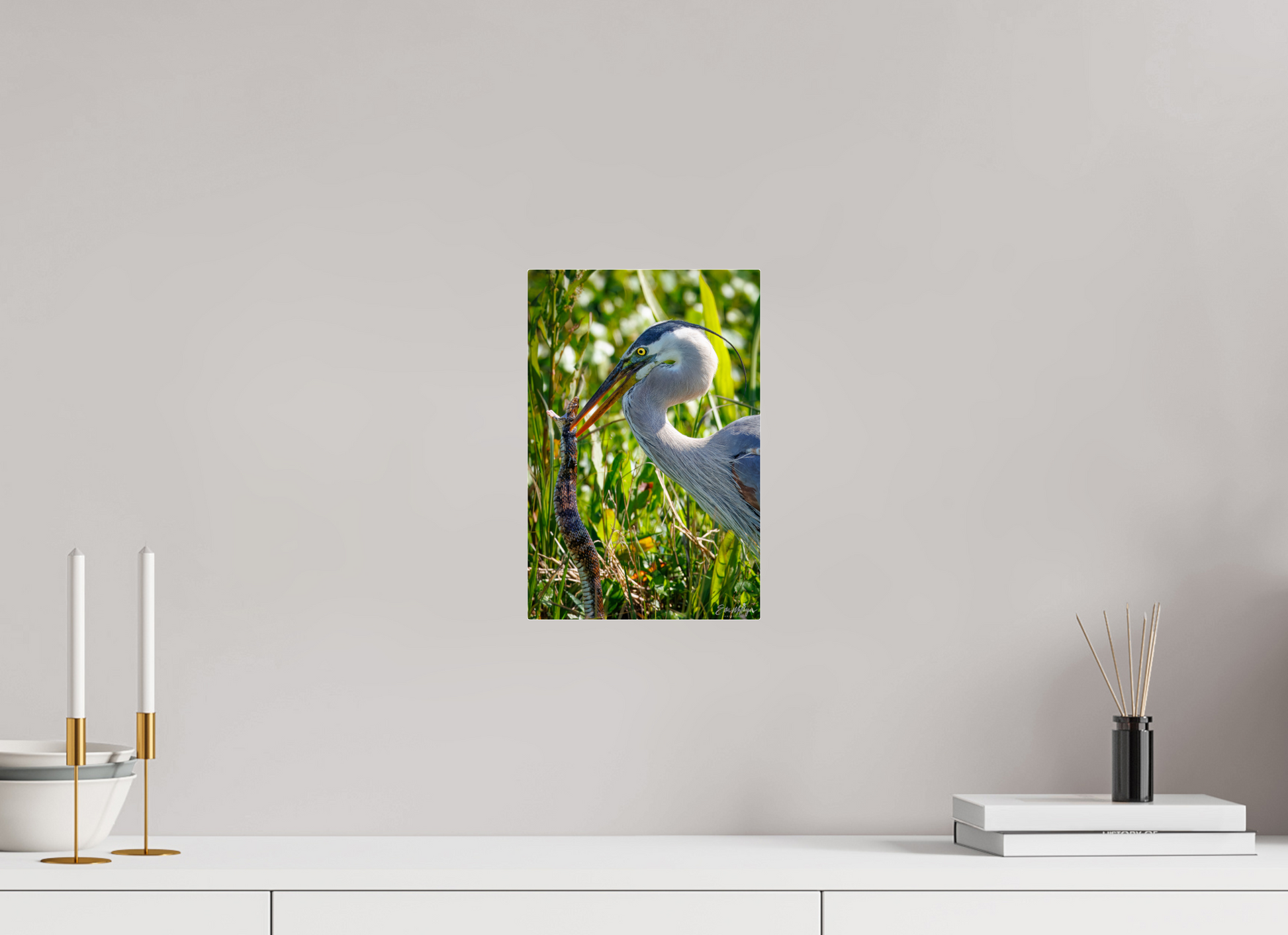 8 x 12″, Acrylic "The Hunt in the Marsh" - Great Blue Heron