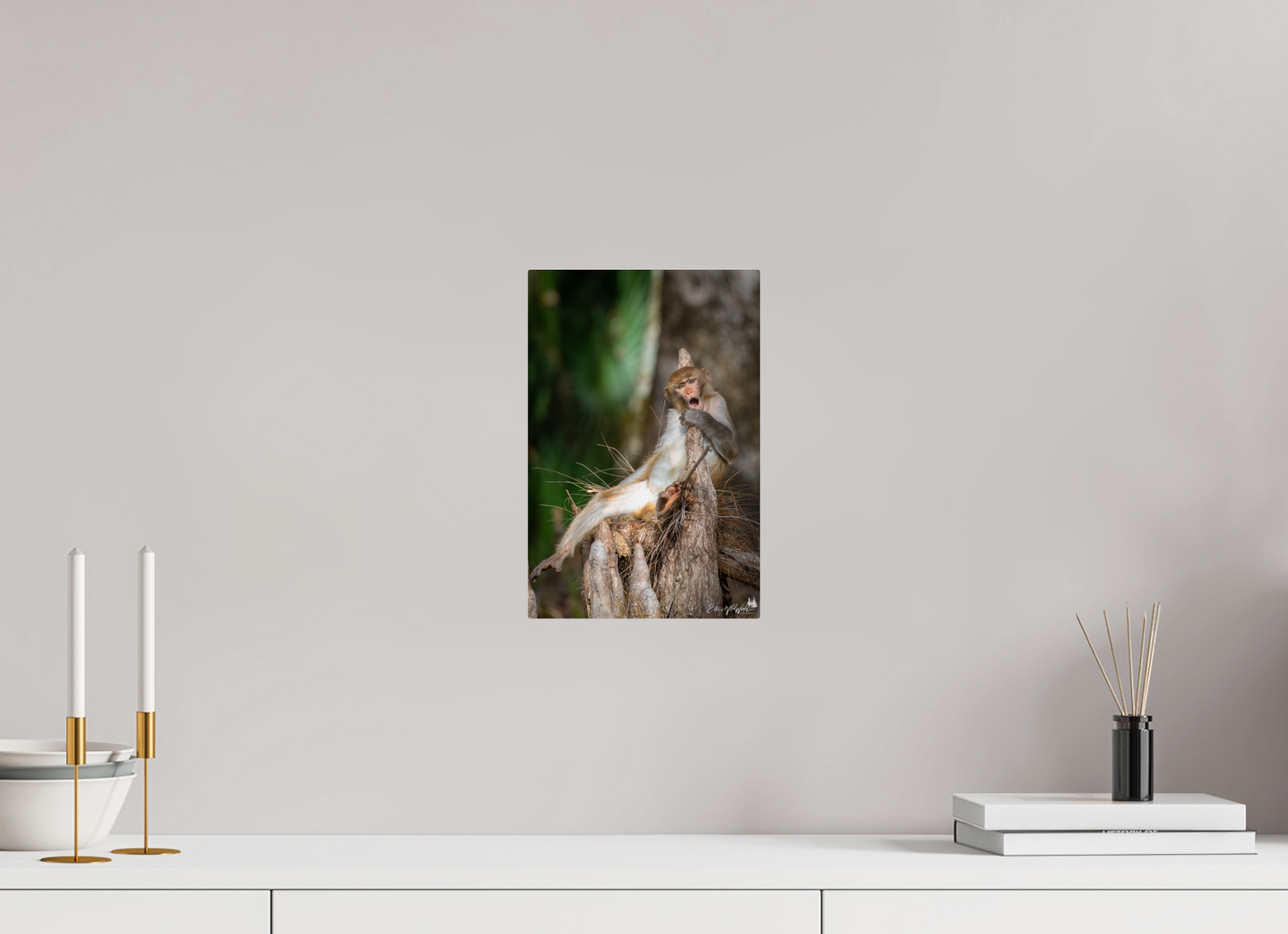 Singing monkey