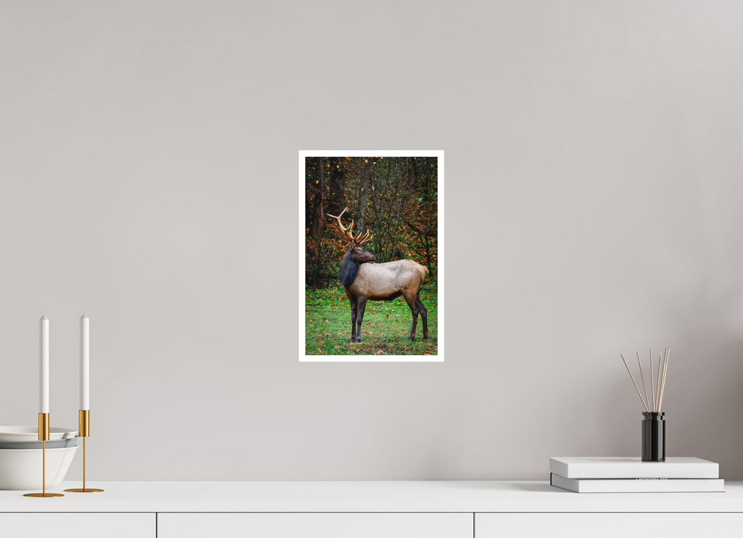 8 x 12″, Fine art print "Guardian of the Meadow" - Elk