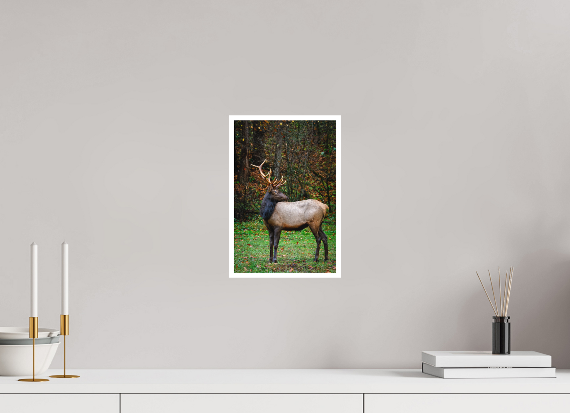 8 x 12″, Fine art print "Guardian of the Meadow" - Elk