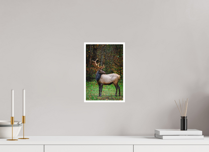 8 x 12″, Fine art print "Guardian of the Meadow" - Elk