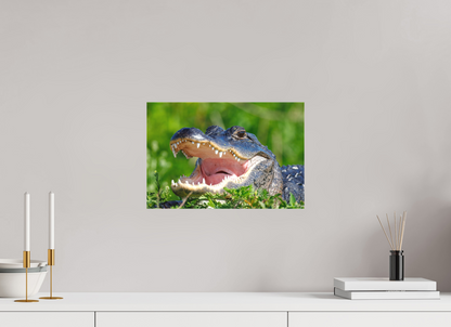 15 x 10″, Canvas "Wide Open" - American Alligator