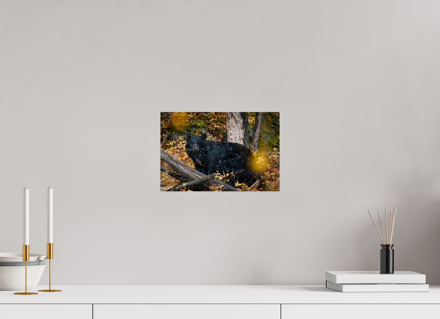 12 x 8″, Metal "Between Seasons" - Black Bear