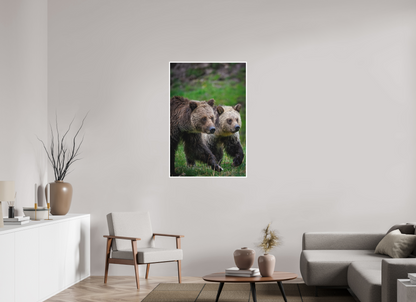 30 x 45″, Fine art print "Rainfall Stroll" - Grizzly Bears