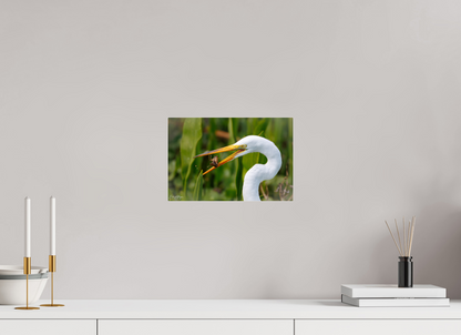 12 x 8″, Acrylic "Marsh Hunter" - Great Egret