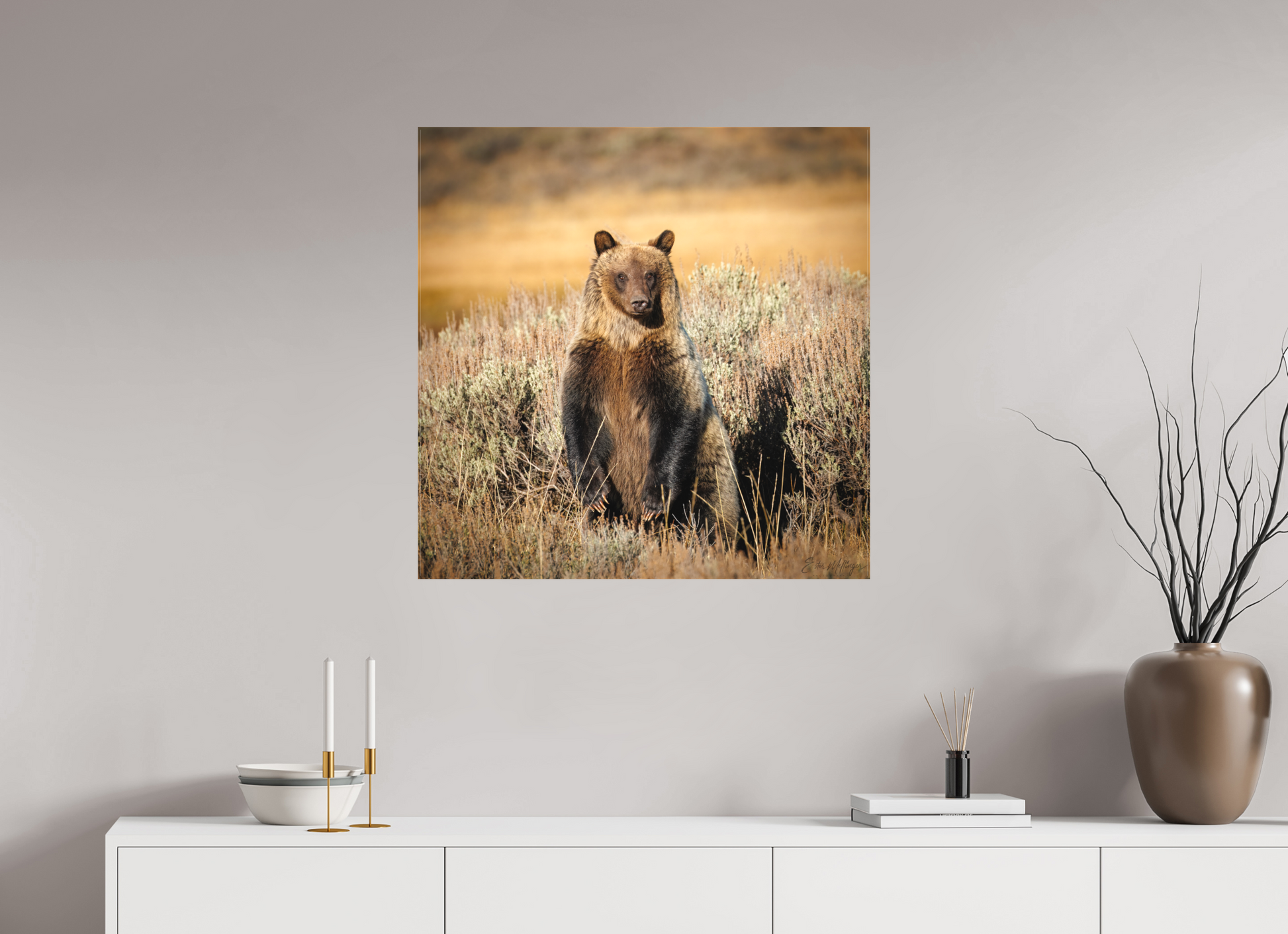 30 x 30″, Canvas "Standing Tall" - Grizzly Bear