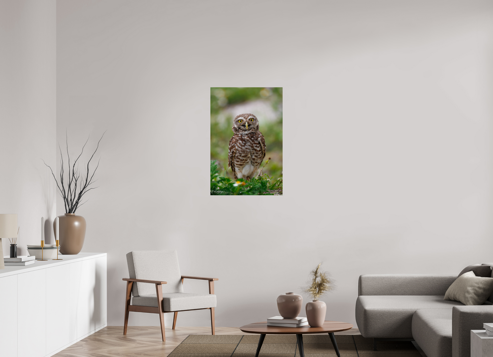 24 x 36″, Metal "Wide-Eyed Wonder" - Burrowing Owl