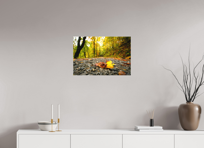 24 x 16″, Canvas "The Long Way Home" - Cades Cove