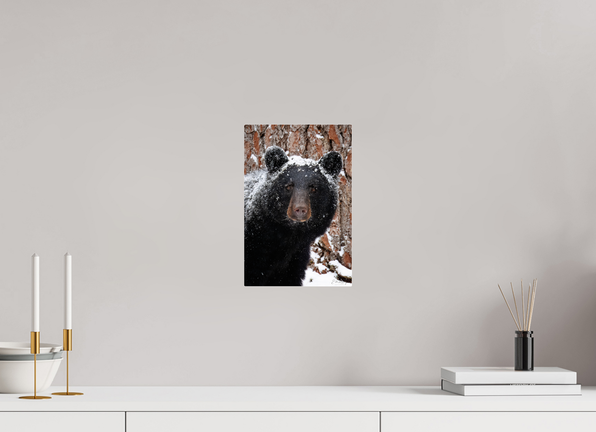 8 x 12″, Acrylic "Smoky Mountain Gaze" - Black bear close-up