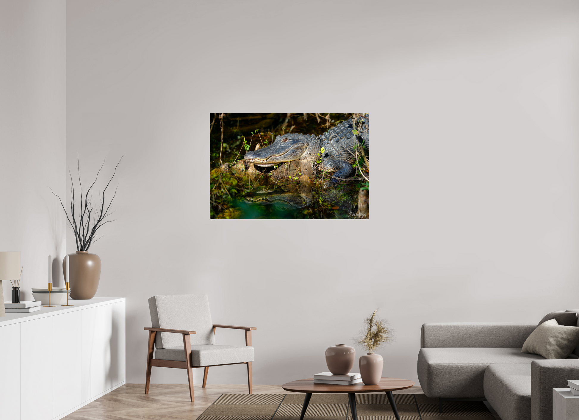 45 x 30″, Metal "Shadow of the Cypress" - American Alligator