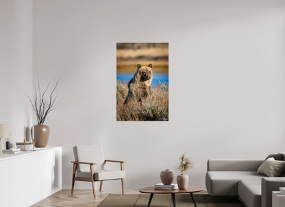 30 x 45″, Metal "River Watch" - Grizzly Bear