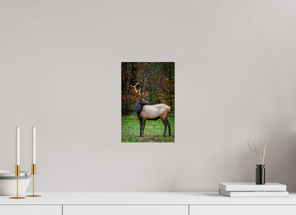 8 x 12″, Acrylic "Guardian of the Meadow" - Elk