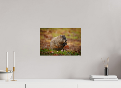 15 x 10″, Acrylic "The Little Forager"