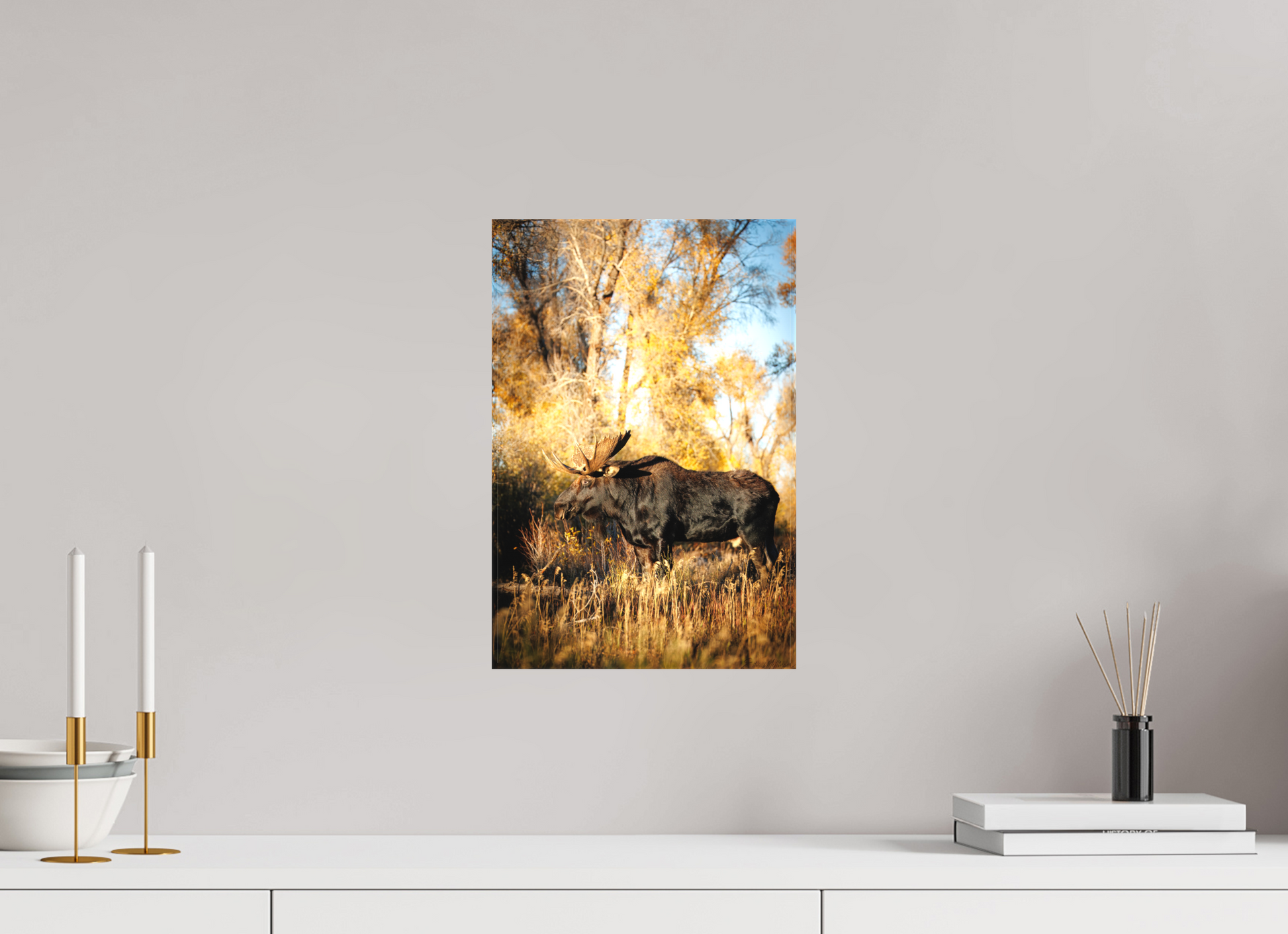 10 x 15″, Canvas "Monarch of Gros Ventre - Stillness" - Bull Moose