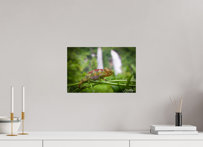 15 x 10″, Metal "Guardian of the Falls" - Chameleon in the Rainforest