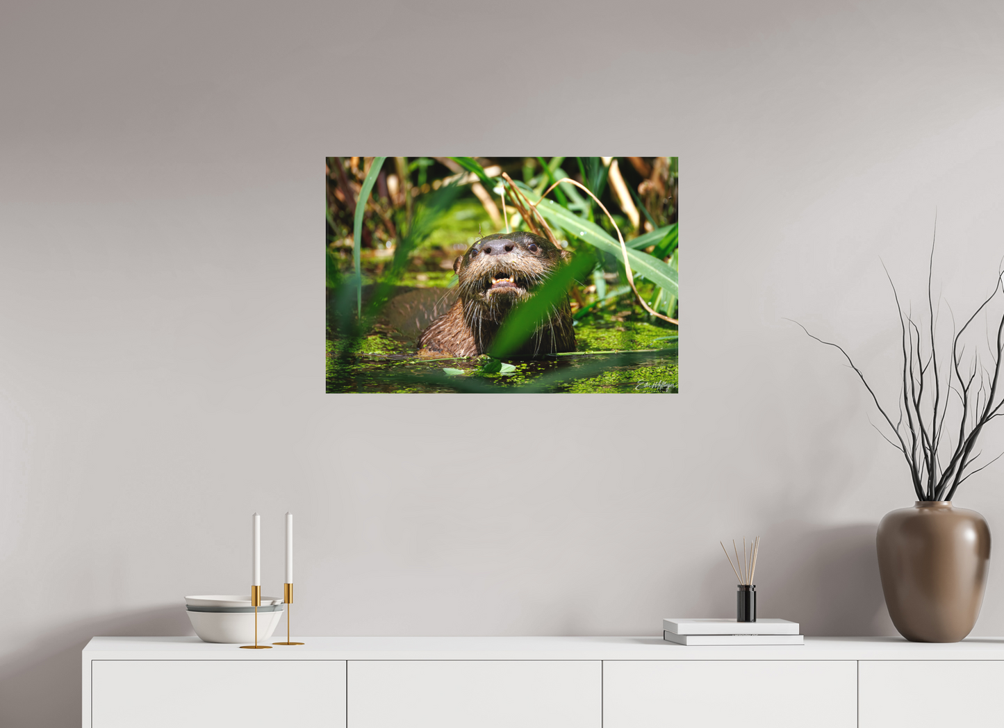 30 x 20″, Canvas "Swamp Watcher" - American river otter