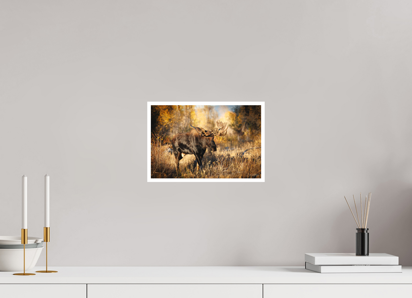 12 x 8″, Fine art print "Monarch of Gros Ventre" - Bull Moose
