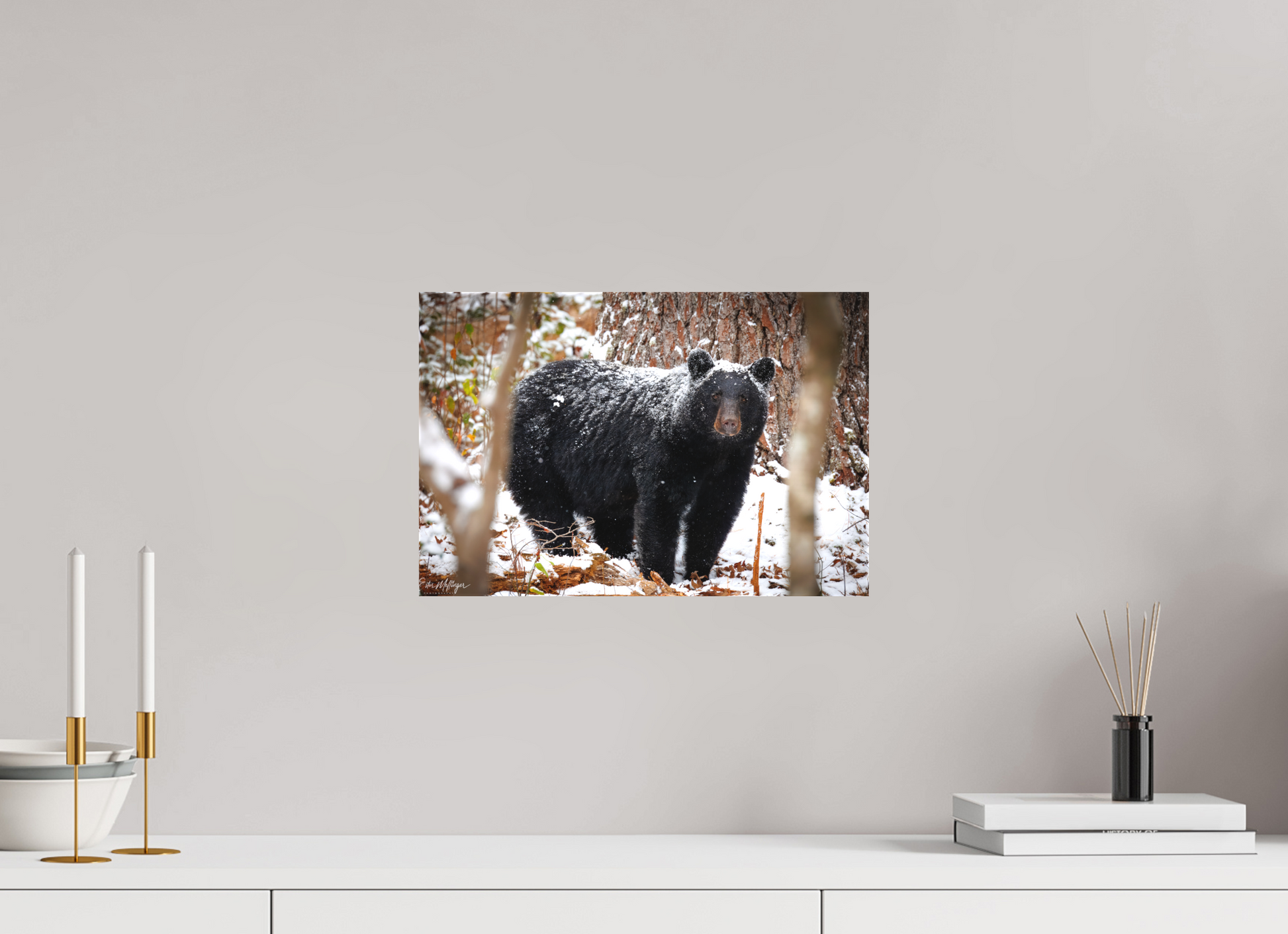 15 x 10″, Canvas "Winter Watcher" - Black Bear