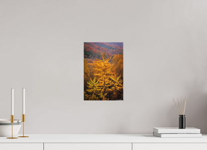 8 x 12″, Canvas "Autumn Blaze" - Smoky Mountain Ridge