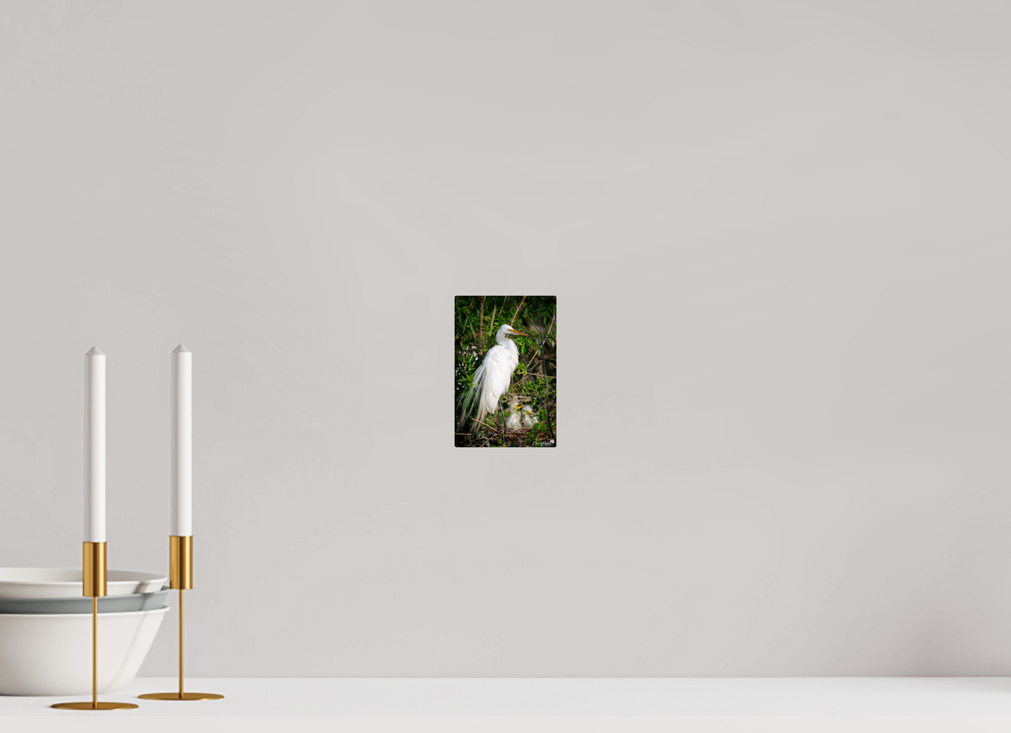 Great egret with chicks